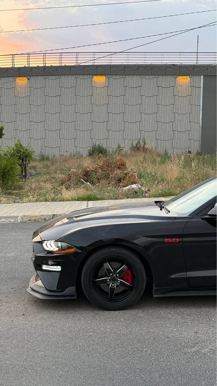 Mustang 2020 
بونيد صبغ جاملغ + باب جهة النفر تبديل شركه بدون صبغ وبدون دواخل بدون ايرباك ماشيه 77 مايل 
كير مكينه بشرط بدون فتح وبدون نفخ 
سياره على ايدي ومعروفه السياره بنضافتها وجمالها 
عليها شوته روش 
عدادات ديجتال 
كوشنات خزن ميموري 
تحكمات ستيرن 
مودات سياقه 
نقطه عميه بالمري 
دمام خلفي داخل الصندوق 
بك لايت سموك 
مسطرة HURST بالعراق كلها مموجوده 
سبايدر خلفي سياره مواصفات خاصه من امريكا مملعوب بيها نهائياً 
سياره كلها بلادية بدون اي نقص 
سعرها 185$ بيها مجال بسيط 500$ غرامات 
*********** 
الشراي يتصل ويتدلل دهوك, العراق
