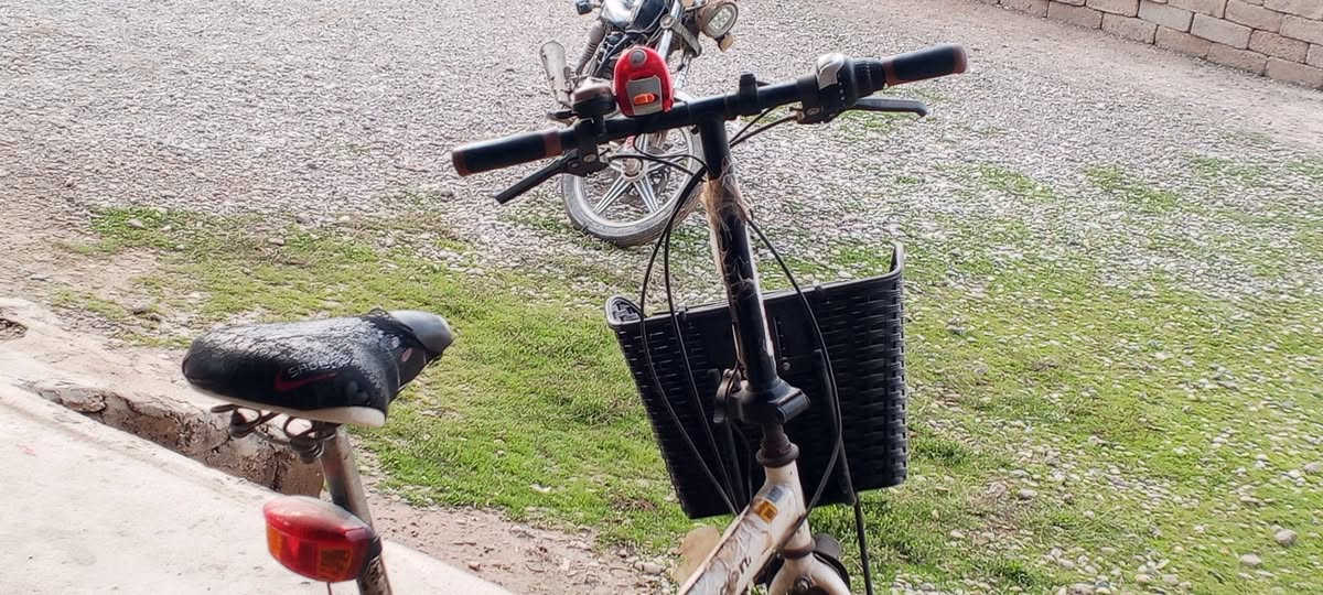 بايسكل للبيع


**إذا كنت صاحب هذا الإعلان وتريد حذفه لأي سبب، رجاءا أرسل رسالة إلى الدعم الفني**