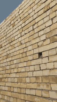 هيكل لبيه مساحه ١٦٠ عقد زراعي ١١٧  الشعب حي الحسين  صفحه مجبل الماجدي  بي غرفتين واستقبال وحولي ومطبخ الخدمات مي كهرباء مجاري السعر ٣٥ وبي مجال  التصال ***********@ ***********واتساب
