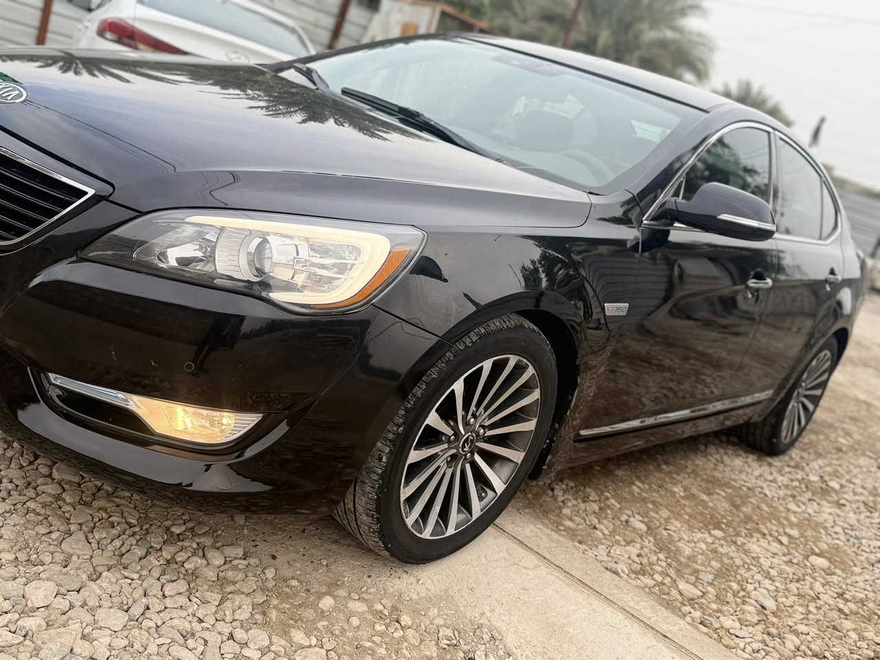 السلام عليكم ورحمة الله وبركاتة  وين اليدور كارتون   وجديد  
 كيا كادنزا. موديل 2015 ادوات متوئمة   اربيل انكليزي ع الشاصي طبق الاصل وين ميعجبك دك حاسبه كارتون السياره فول نضافه اذا بيها نقص برغي ينزل من سعرها بعدها بدهن كوريا 

وكاله ومكاتبه للمشتري

✺كصة جنطة شغل درجة اولى  باجات اقوه شغل بلسوك 
✺دخول جديد مشي قليل   
✺متومة اربيل شرط الحاسبة 
✺سنوية  اصليه شرط ام الفسفوره   
✺فول مواضفات عدى الفتحه 
✺تحكم مري كهربائي +مري شفط + اشاير بلمري 
✺كروز نظام تثبيت سرعة نضام ايكو 
✺ شاشه كبيره كامرات امامي وخلفي دواره 
✺كشنات جلد تدفئه بلكشنات امامي وخلفي تحكم مشنات كهرباء كلشي واضح بلصور 
ثلاجه شغاله 
برده بلاد خلفيه 
بصمه 
✺حساسات امامي خلفي  
✺تبريد ثلج  
✺مانع انزلاق 
✺السيارة جاهزة وبدون اي نقص كاملة على 24 حباية  تستلم بدون اي نقص اذا بيها نقص تنزل من سعرها بعدها بدهن كوريا
✺سيارة احلى من الصور وشغلها مضبوط 
✺كير مكينة تبريد تدفئة حدادية دواخل كهربائيات كلشي جاهز
✺مكان السيارة بابل 
✺السعر 55 ومجال حك الجيه فقط 
 للاستفسار الاتصال على الرقم
‏ ***********
