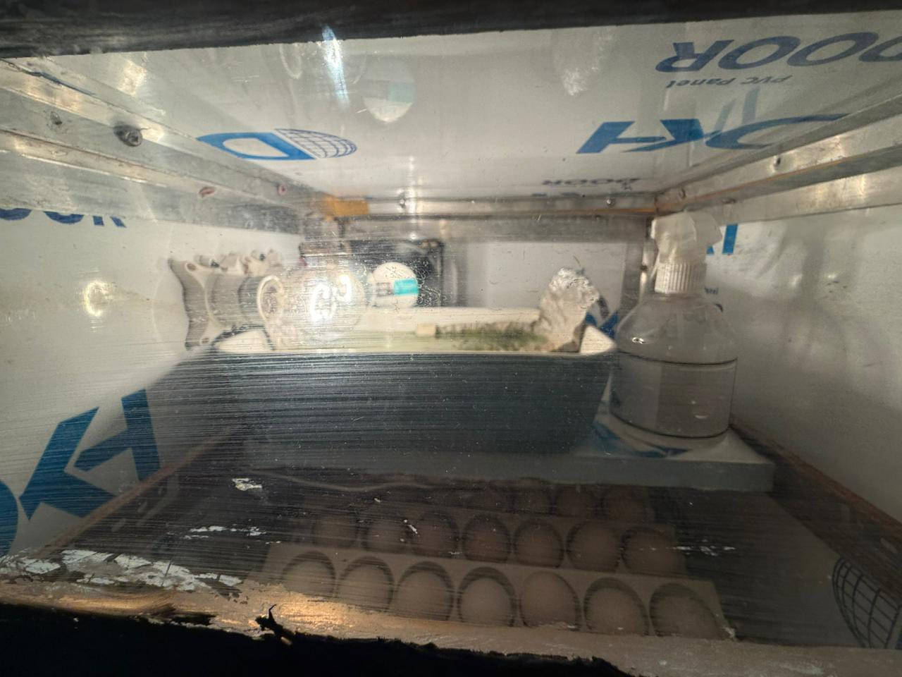 فقاسه تشيل ١٢٥ بيضه للبيع سعر ١٠٠ وبيه مجال ***********
