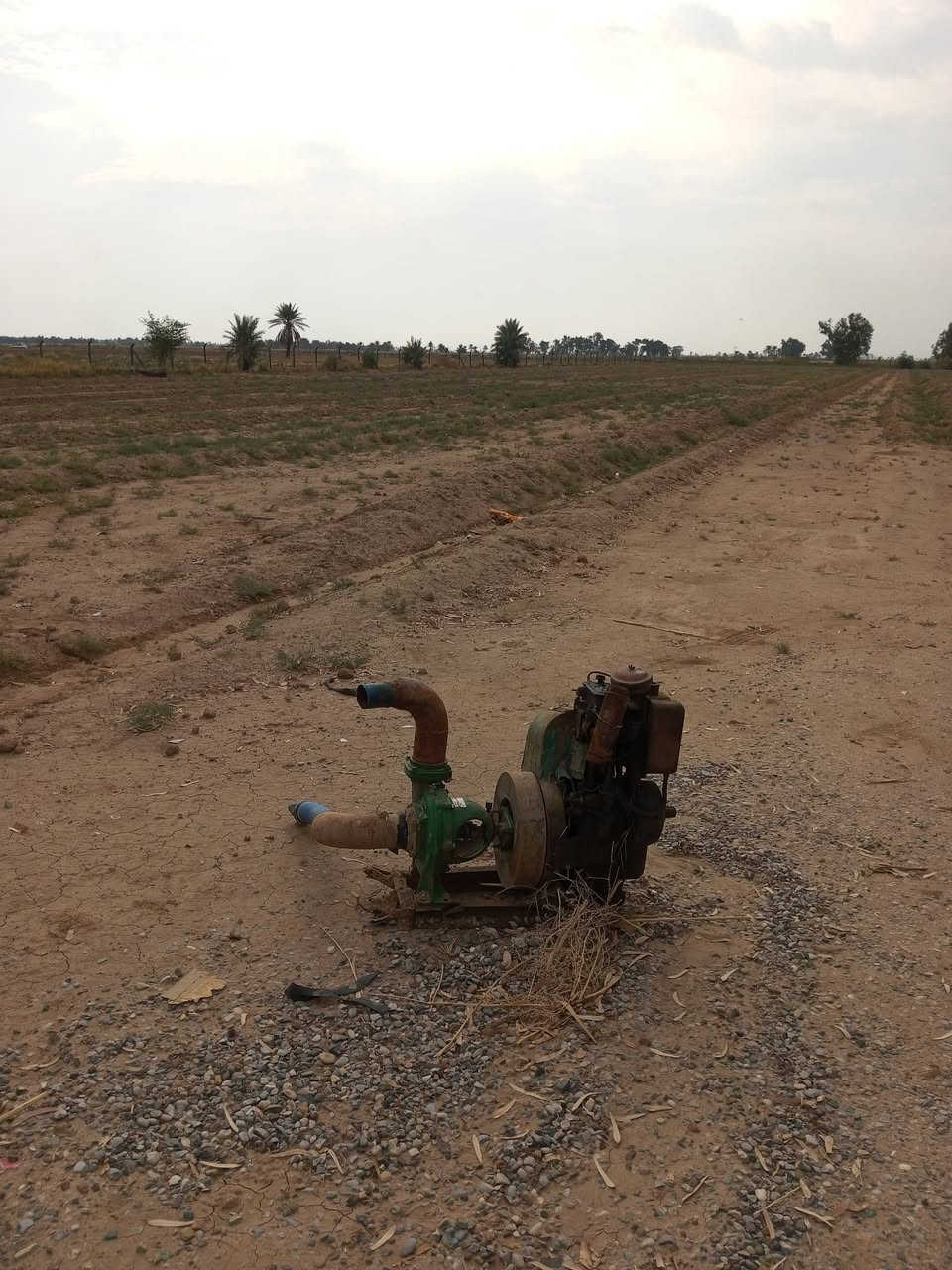 ارض زراعية ١٣دونم تحويل عقد بسمك مباشر ديالى خان بني سعد قرب حي علي الهادي سعر مناسب***********
