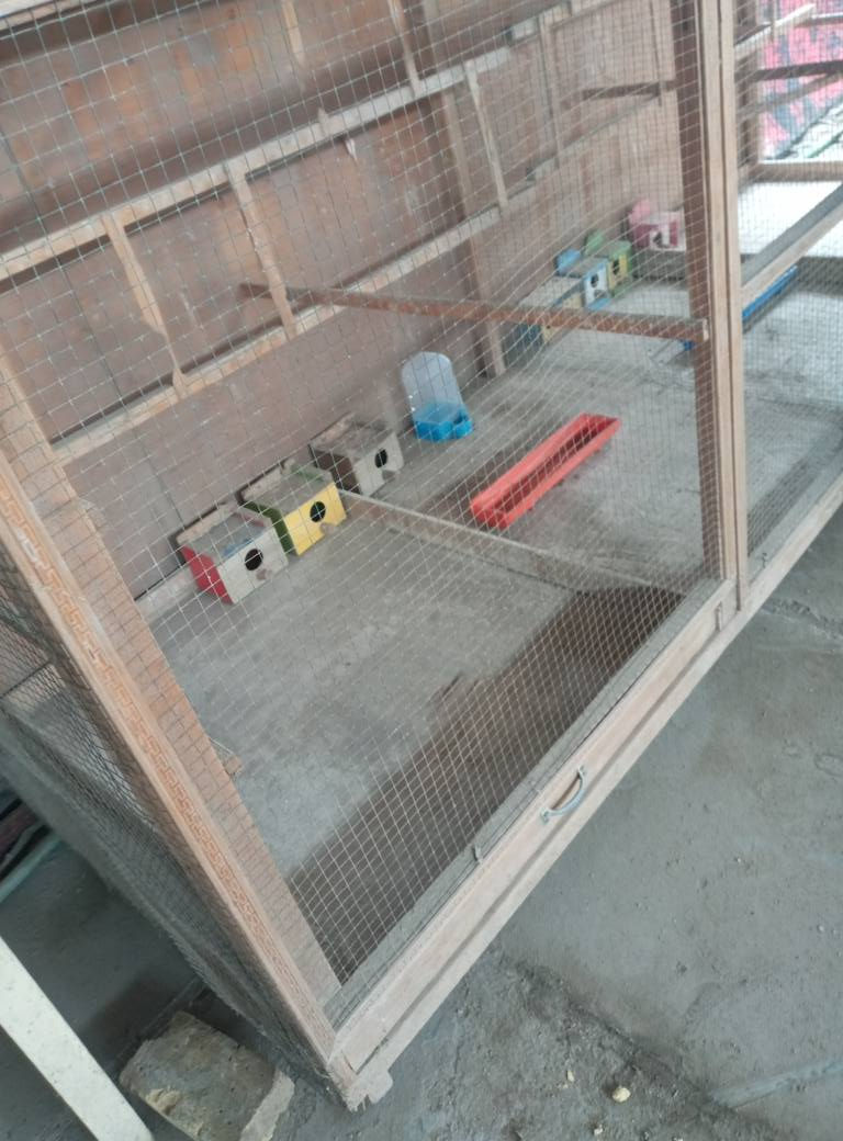 قفص ٣ امتار للبيع العلو ١٧٠سم جملون  السعر ١٠٠ وبي  مجال  تسكام  خشب مو عادي  مكاني الديوانية مركز  التواصل خاص او عالرقم *********** متوفر واتساب
