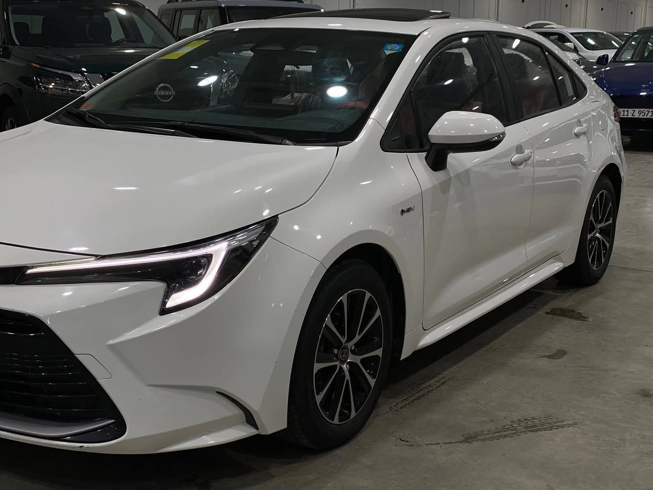 تويوتا كورلا 2025هايبرد ماشيه 40الف ورقم بغداد
الجديد وتحويل مباشر 

السيارة فول مواصفات 1/1 كرسي كهرباء
و داخل لون احمر و اسود جلد اصلي وفتحة 
السيارة مكفولة كفالة وابيع شرط السونار و
السيارة مفحوصة سونار موجود سيارة جديد
السعر هو 12000$ الف دولار
و بيه مجال حك الجية ومكاني بغداد ورقمي 
للاتصال او استفسار ‏‪0773 267 8410‬‏
واتساب هم موجود 
السيارة بصمة و سلايد و كرسي كهرباء و 
داخل لون احمر و اسود جلد و رادار امامي
وتثبيت مسار و وكامرة خلفية و دشبول 
ديجتال و شاشة كبيرة و اوتو هولد وهاند بريك لمس وبعد هواي مواصفات
