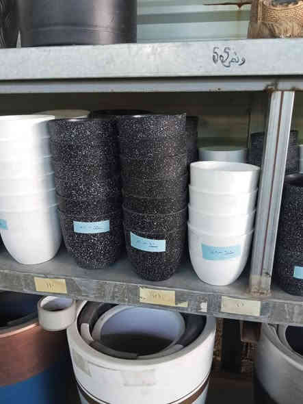 وين الي يضوجون من السندان السيراميك 
شوووفوا شجبتلكم 
سنادين بلاستك بس شوفوا شكلها 
كأنما سيراميك واحلى بعد 😍
الاسعار تحت الصور👇
(متوفر مفرد وجملة)
التوصيل متوفر لكل المحافظات 
للحجز. مراسلة الصفحة او واتساب ***********
#مشتل_زهور_النرجس 
#بيع_نباتات #ديكور_ترتيب_منازل #نباتات
