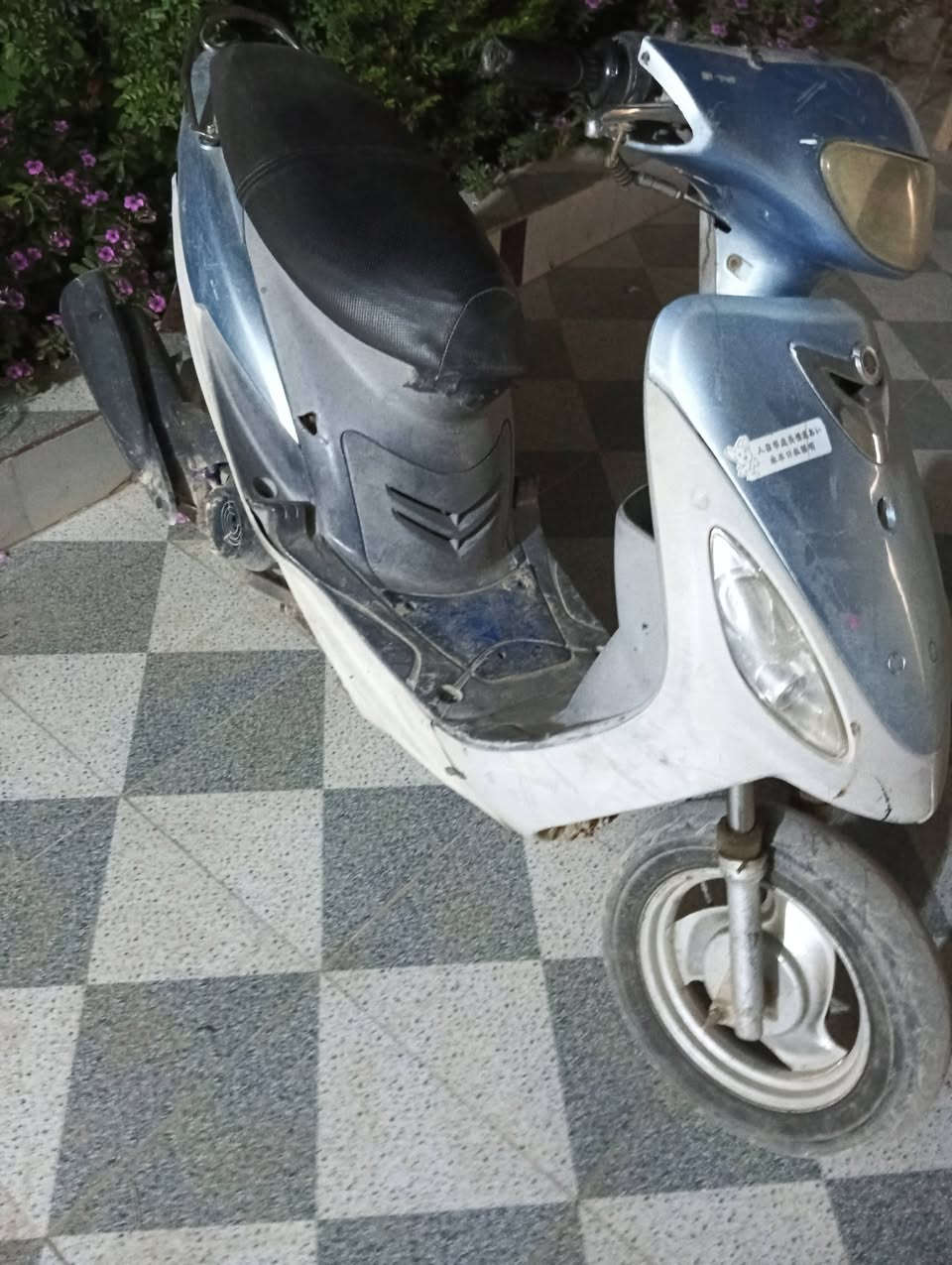 ماكس منغولي للبيع السعر 275وبية مجال حله شارع 80 رقمي ***********
