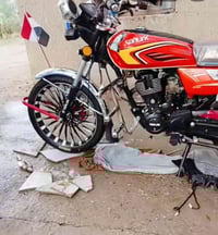 سيفانة • موديل 2025 • أوراق أصلية