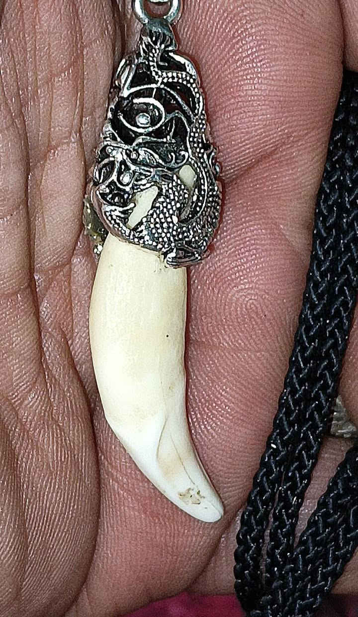 مگلد ناب الذيب الاصلي ذمة ذمة اصلي شرط الفحص الناب مروحن ومنجم وجاهز للحمل معروف عمل ناب الذيب لاهل التجربه واهل الخبرة  لحامله يعمل جاها وجاها ومهابه  ويعمل لابطال السحر وطرد النفس والحسد والتابعه والعارض وجلب الرزق باذن الله  يوجد توصيل ***********          ***********
