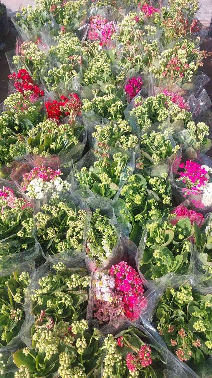 مسواك جديد
*********** وتساب
