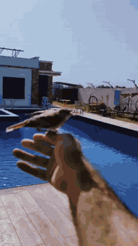 أهلا وسهلا في منتجع السلطان ViP بنظام فندقي((للإيجار اليومي والشفتات )...