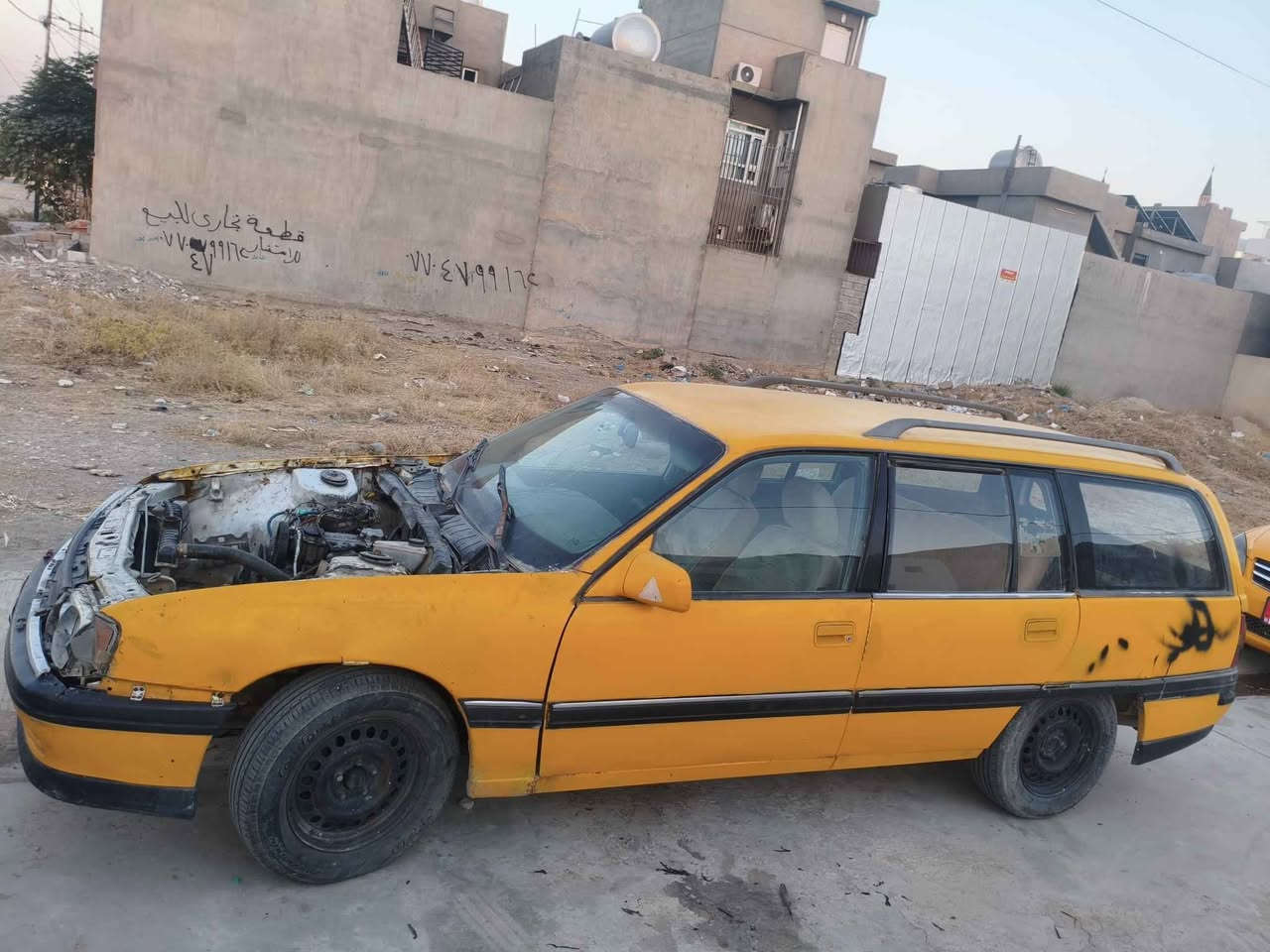 سلام عليكم للبيع جف تراب تصقيط خابر ودلل
للبيع جف تراب تصقيط *********** كركوك, العراق
