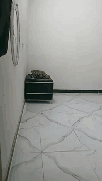 بيت تجاوز مساحه 170م 3غرفه نام واستقبال وترك ومطبخ و3منور وحمام عدد 2موافق خارجي وطرمه  سعر 30بي مجال قليل زعفرانيه دور الصحه قريب مدرسة واسط سده الجنابين مقابل جسر أنبوبي رقم ***********بس واتساب
