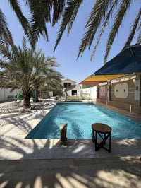 مزارع VIP • بلد • شفتات نهاري ومسائي