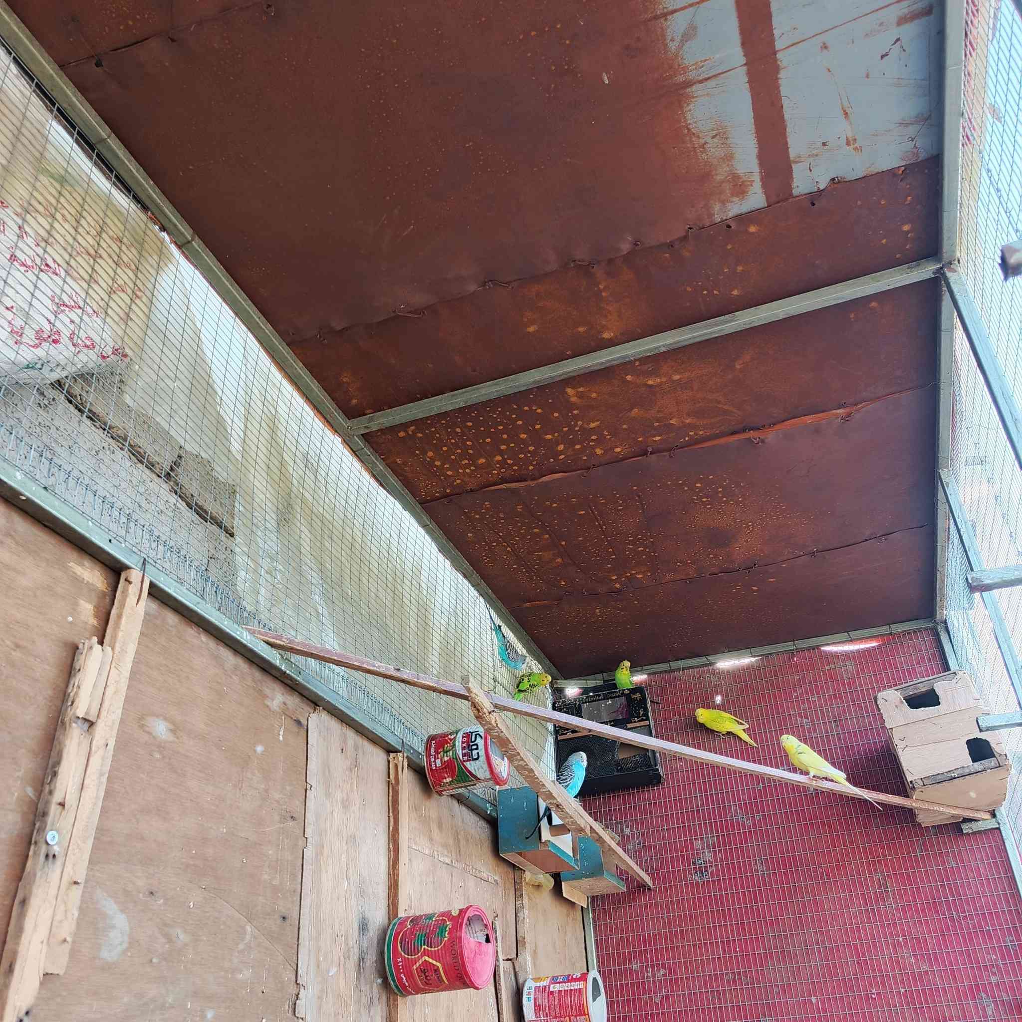 سلام عليكم برج مال
طيور الحب أو حمام 

الطول مترتين ونص والعرض متر ورتفاعه مترتين 

برج كامل وجديد توني مفصله 

السعر 140
مكاني الطار العبرات 

هاذا رقمي ***********
