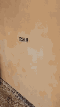 نتشغل • مكطوعه