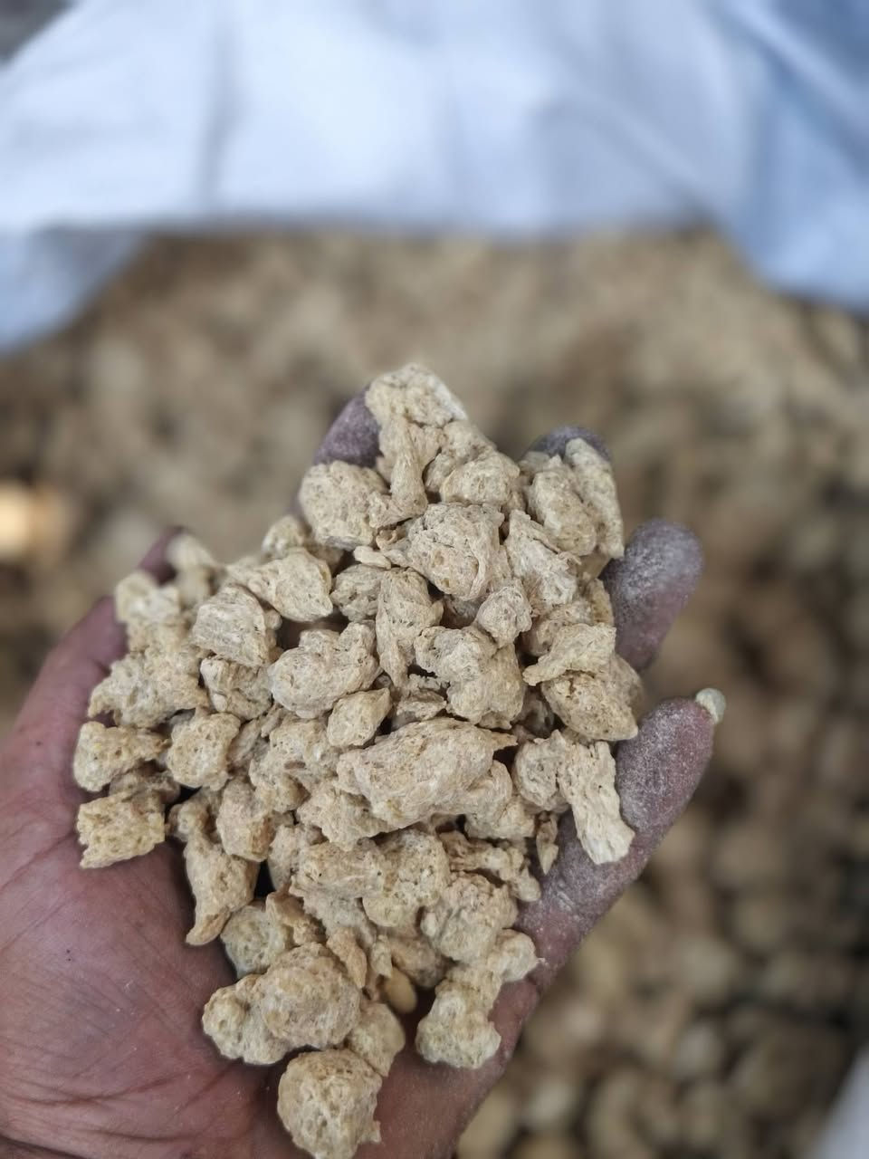 🔥 لا تدفع أكثر... وفر أكثر! 🔥

في غذائية أبو دشير جمعنالك الجودة والسعر المناسب حتى تشتري كل احتياجات بيتك وأنت مرتاح.

🥫 مواد غذائية متنوعة
🧴 منظفات أصلية
🛍️ أسعار منافسة
✅ خدمة بكل احترام

📍 زرنا اليوم وشوف الفرق بنفسك...
غذائية أبو دشير... لأن التوفير يبدأ من المكان الصحيح.

يتوفر توصيل جميع مناطق بغداد 

السعر تحت كل صورة 

العنوان / ابو دشير / السوق الشعبي / مقابل / لحوم ومشويات ماجد القصاب 

للحجز مراسلة الصفحة او الاتصال 
‏‪***********‬‏
