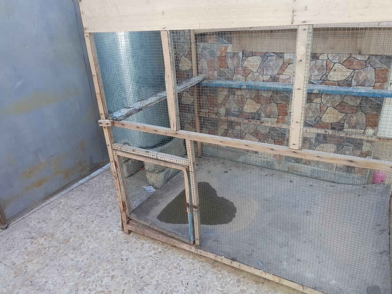 قفص للبيع


**إذا كنت صاحب هذا الإعلان وتريد حذفه لأي سبب، رجاءا أرسل رسالة إلى الدعم الفني**