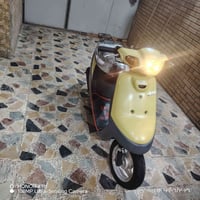 بطه • ليمون • للبيع