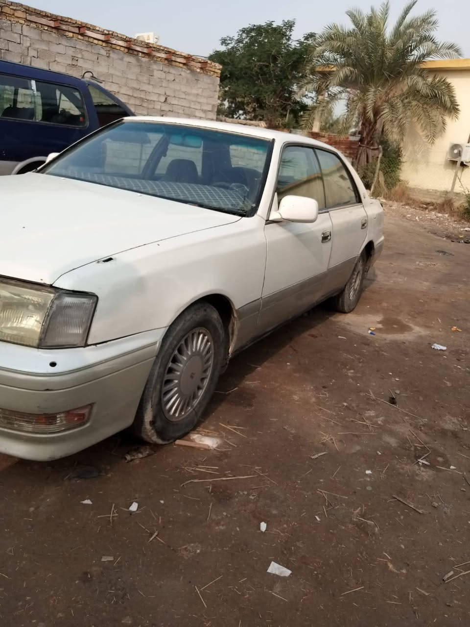 السلام عليكم راس الثور للبيع بسمي مداورة ثاني يوم مراوس بكوري ترهم ،
سعر 75 وبيها مجال***********
