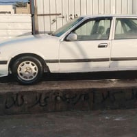 برنس • ١٩٩٥ • رقم بابل