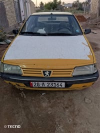 بيجو روا • ٢٠٠٩ • نجف