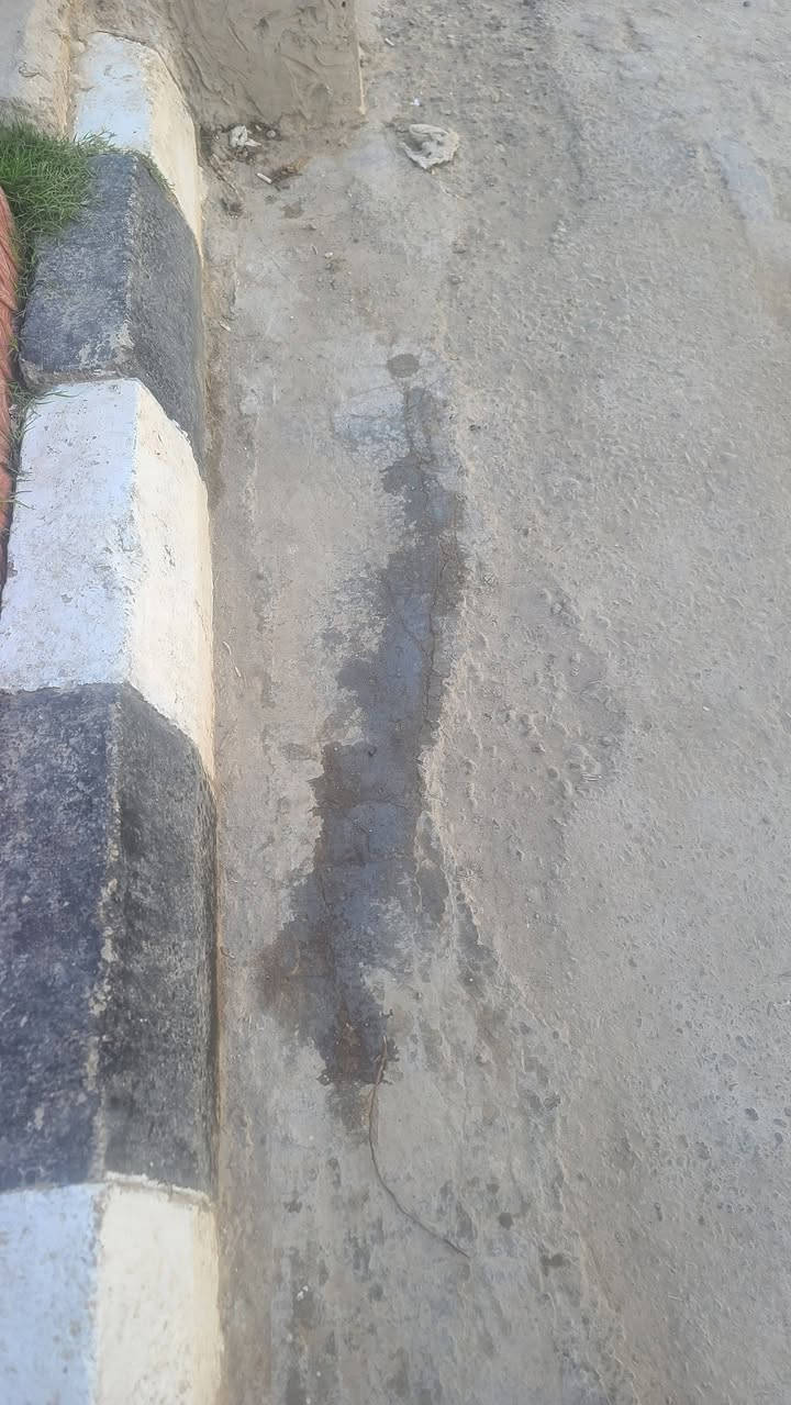***********

