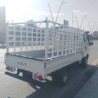 بابل • درجة أولى • صبغ فول