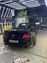 موستنك كشف • ٢٫٣ تيربو • ٢٠١٩