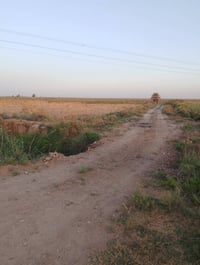 قضاء الرفاعي • ١٥دونم • ما وكهربا
