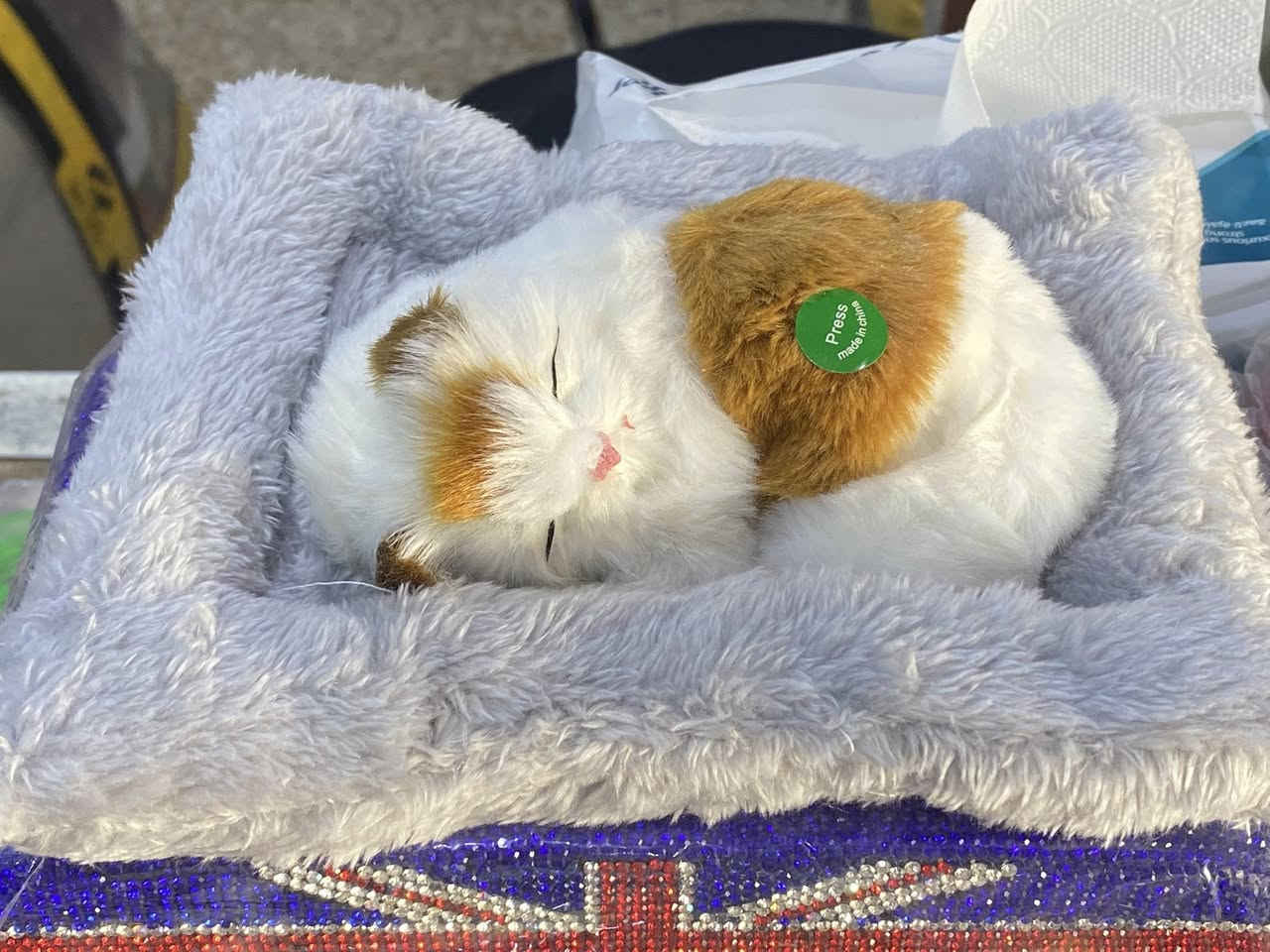 اكسوارات السيارات البناتيه لسفسار ***********
