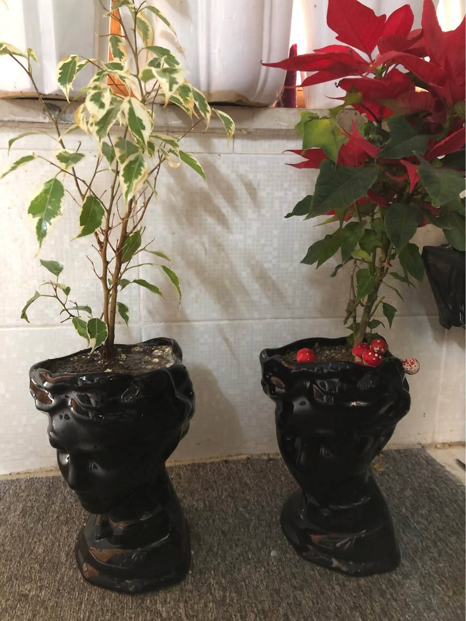 نباتات طبيعية ظلية كلها ٨٠ الف قفل
اربيل روشنبيري
توصيل داخل اربيل ٥ الف أربيل, العراق


**إذا كنت صاحب هذا الإعلان وتريد حذفه لأي سبب، رجاءا أرسل رسالة إلى الدعم الفني**