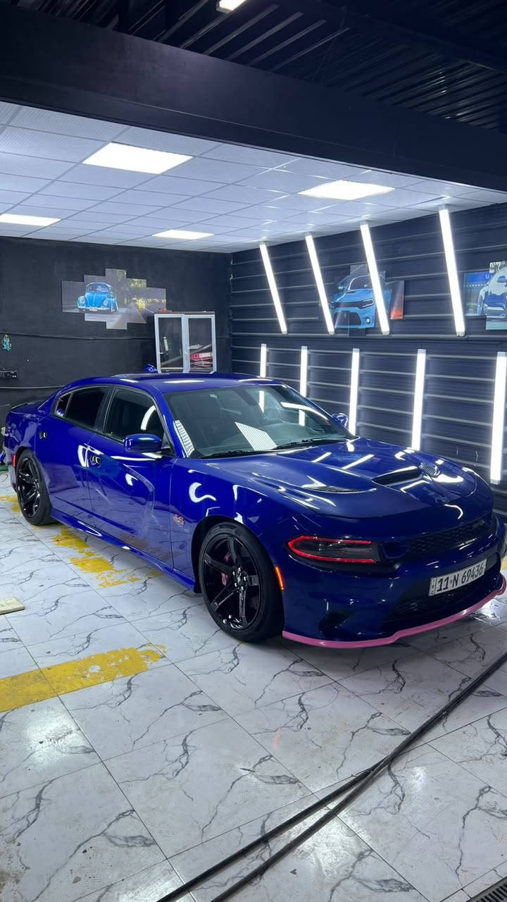 جارجر سكات باك 🐝
مديل 2021💙

سعر 224بيه مجال بسيط

حادثه قفط بنيد 

💙مواصفات💙
1_شاشه كبيره 
2_شفتات ستيرن
3_كشنات كهرباء 
4_كامره دواره
5_فجوج برمبو
6_تبريد ❄️ 
7_كير مكينه كفاله
8_اكسن حداديه كفاله
9_ويل نجمه خسفه قويه
10_رقم بغداد نكليزي بسمي
11_ستيرن تدفى +كشنات تدفى
12_كير مكينه كفاله
13_ماشيه 66
14_يوجد سونارات ثنين داخل المنشور

مكاني كربلاء 
((مكلف بل نشر شراي يتصل خاص مغلق))
               ((فقط بيع بدون مراوس))
رقم***********
