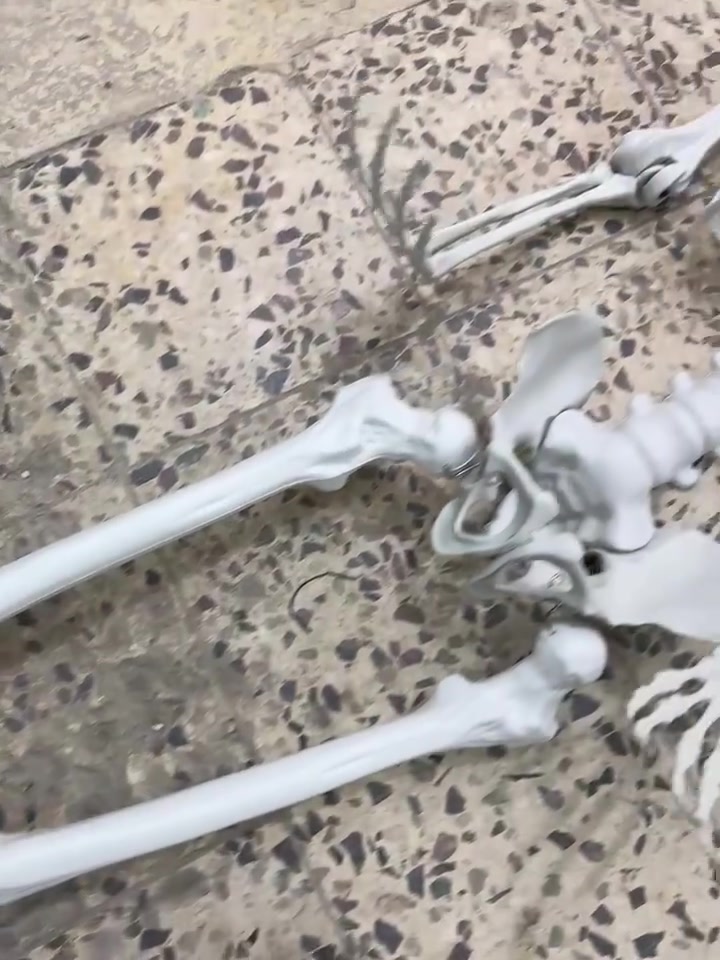 هيكل عظمي
طول 160
جديد لك بدون اي ظرر


**إذا كنت صاحب هذا الإعلان وتريد حذفه لأي سبب، رجاءا أرسل رسالة إلى الدعم الفني**