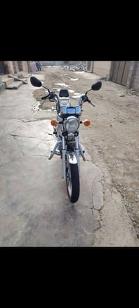 شباب ماطوز ديلم للبيع اوو مروس بسنكي ناصي السعر ٧٥٠ وبي مجال0781166233...