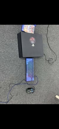 بلي فور برو • 1 تيره • مراوس