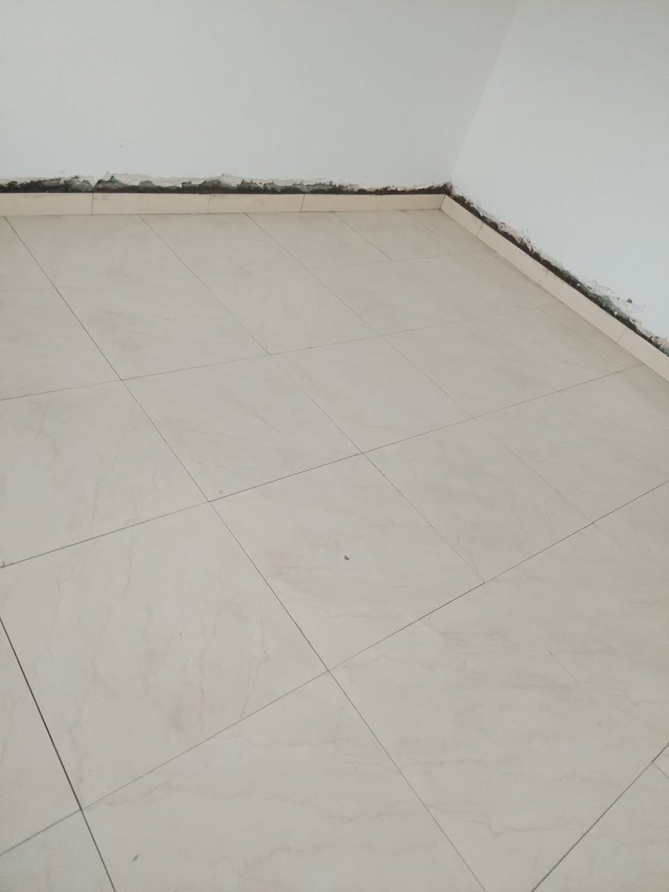 سلاح عليكم خلفه سيراميك  ارضي جداري باسعار مناسبه جدا ليزر كبان *********** /***********. يوجد وتساب. تساهل مع  الحالته ماديه ضعيفه. دقه بل عمال الاتزام بل مواعيد
