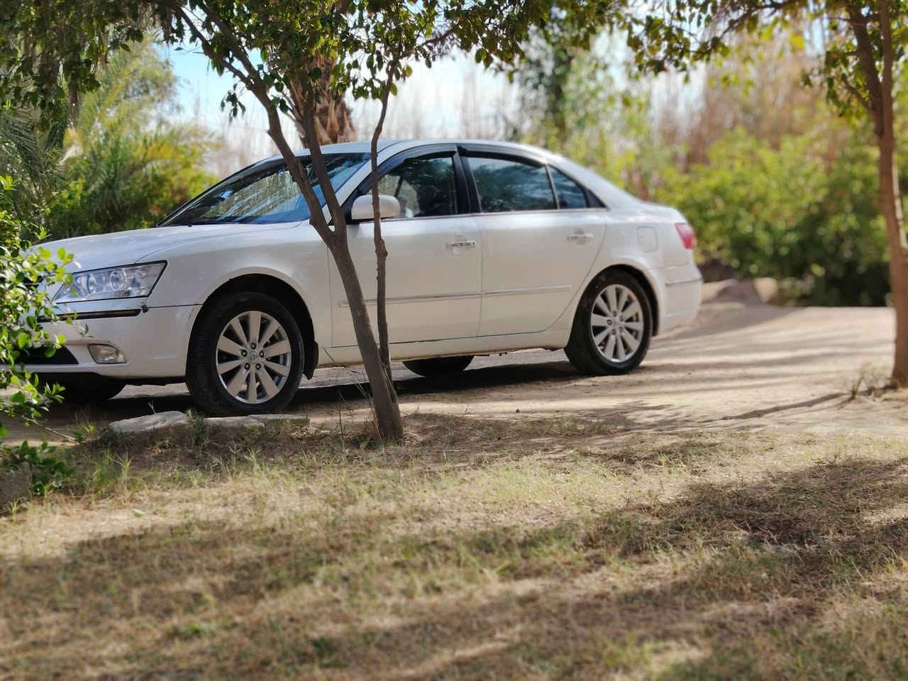 سوناتا ٢٠٠٩ كوري بغداد بإسمي جاهزه من كل شي ٢٤٠٠ بيهة اربع قطع رش بس وحده بيهة معجون سعرهة ١٠٥ وبيهة مجال كلش بسيط
***********
