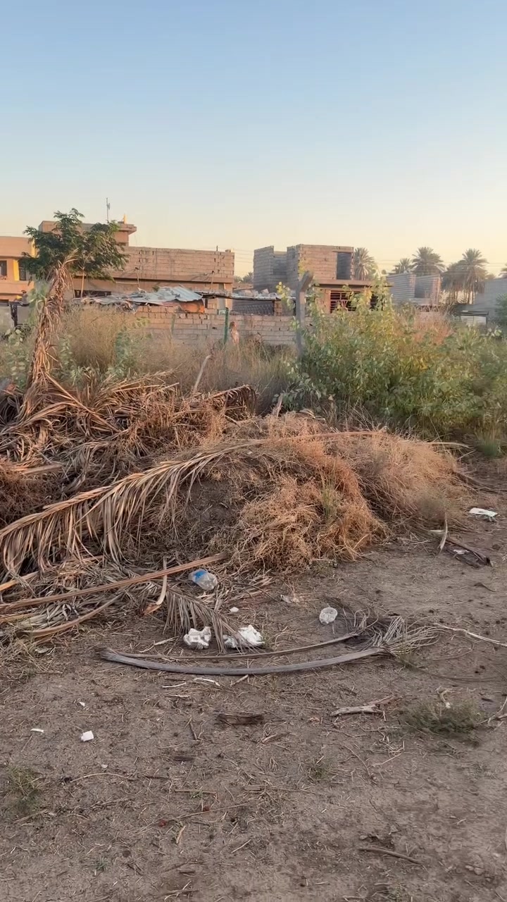 سلام عليكم كاع مساحه ٣٣٠ متر بشارع الكبيسي كاع حلوه وسعره مناسب حيل اب ٩٠ وبيها مجال جوه السوك وماكو هيج سعر الاتصال على الرقم *********** / واي شي عتكم مينباع دزو الي كاع بيت اني حاضر واذا تردون بناء عندي مقاول ثقه خوش ولد بس خابر وسهله
