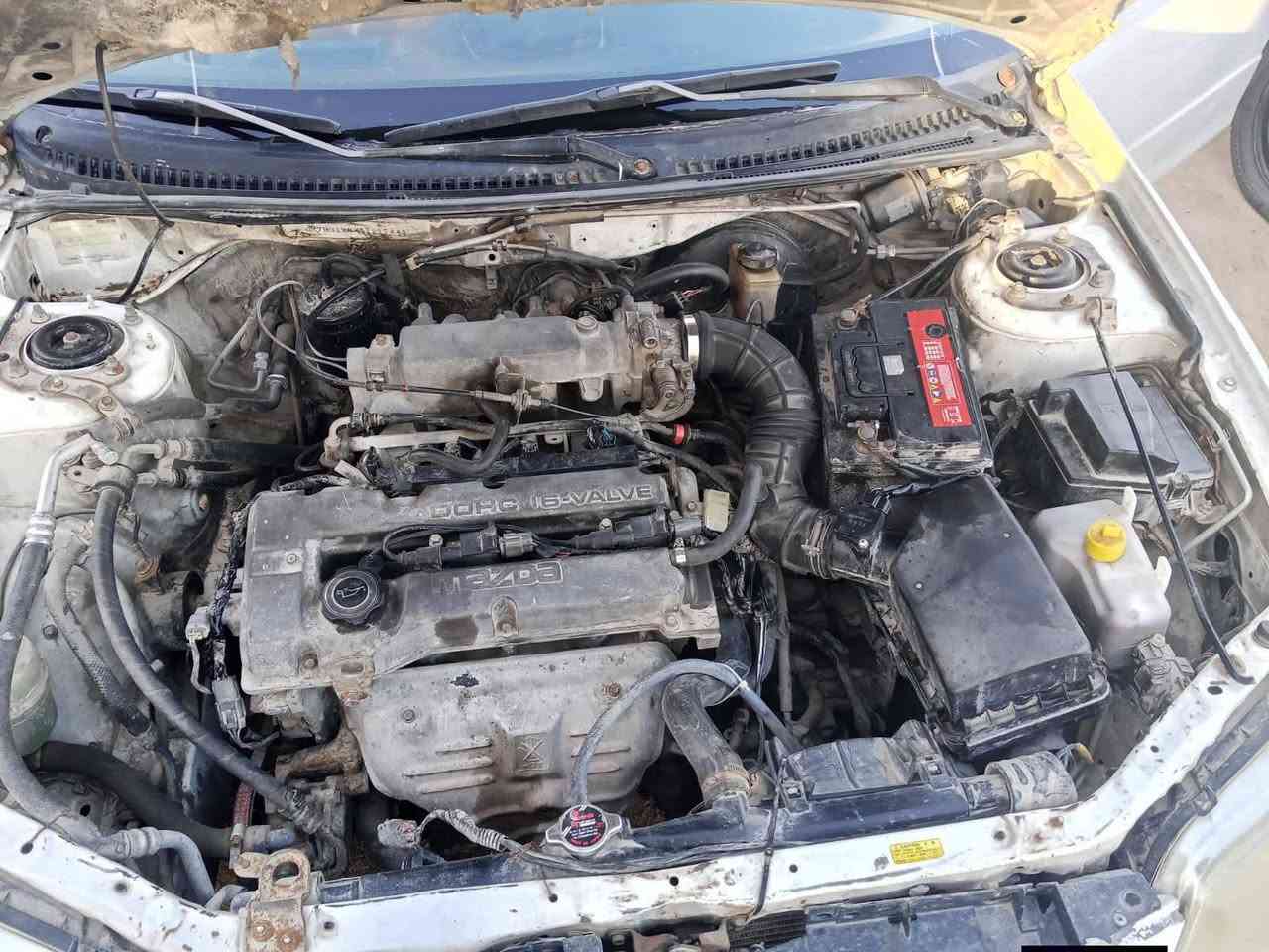 مازدا 2003 جاهزه من مكينه وكير وحداديه وكهربائيات نوزلات جدد بلكات جدد مسويلهه ادامه جديده بس بيهه خربطه قليله من هيه واكفه بس من تمشي خير من الله اعتقد محتاجه جويتر والسبب الرئيسي التيبي اس رقم كربلاء الجديد مداورة ثاني يوم سبب البيع وذلك لظروف صحيه اسف على الإطالة عارضه 38وبيهه مجال بسيط
عنواني كربلاء الحر ***********
***********
