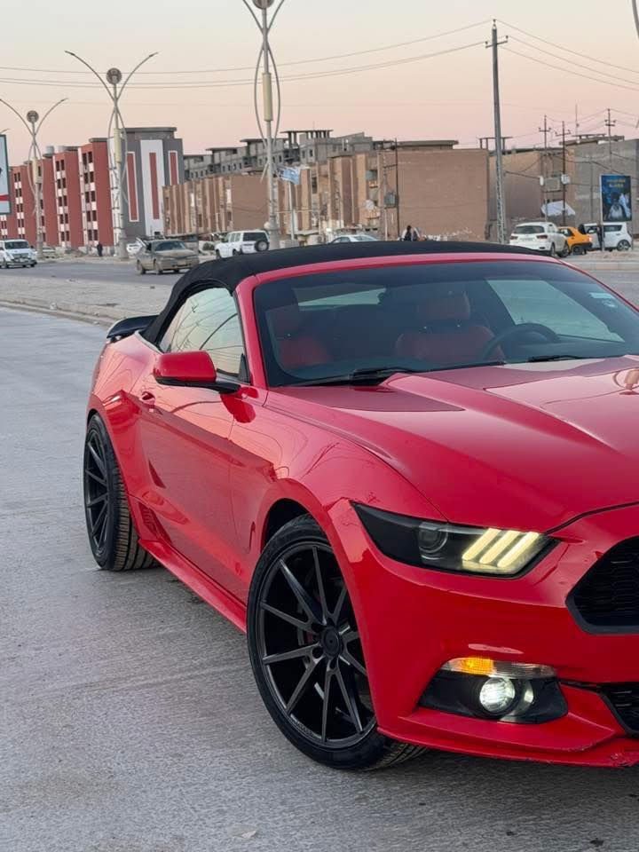 فورد موستنك / ايكو بوست
2017 -2017-2017❤️‍🔥كـشف 
-
كـشف جديد شغال مع الماطورات
-ابل كاربلاي
-اندرويد اوتـو
-لدات مخفي متغير محيطي/ 100$
-ويل فويزن الاصلي تو سايز🐦‍🔥
-تايرات 275 تخم جدد
-تدفئة كشنات 
-تبريـد كشنات
-هيتر بل مري
-اشاير بل مري
-ستيرن3️⃣وضعيات sport/comfort/normal
-السيارة بيه 4️⃣مودات /سبورت بلس /وضع المطر/التراك مود/النورمال
،
-شفتات ستيرن
-دواخل جلد احمر 
-سبويلر gt 500شيلبي 
-دشبول 7 الوان  
السيارة ماداخلة حلبة استخدام خفيف ولمكينة بجيس السيارة برغي متصرف عليهه❤️‍🔥♾️
-السيارة برمجة طلال + ملف ستوك 
-عليهه تفريغ يم علي الوادي
-داون بايب يم علي الوادي 
من خلال هاذ لمنشور حاب اوضح صورة عن موضوع الايكو بي مشاكل عن تجربة السيارة النضيفة دهن وبانزين وانساهه تفحيط ما تفحيط ماتحك راسك منهه واقوة من 6 سلندر  وبيه شلعة تاخذ الارتيات وتاخذ الي بمستواهه..❤️‍🔥✈️---الضرر-جاملغ خلفي بارد ووعكسه هم بارد بدون قطرة صبغ بدون ضربة بدون ايرباك للاستفسار ***********/***********
