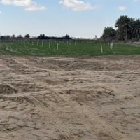 العلم الحاوي • طابو زراعي • ٥ دوانم