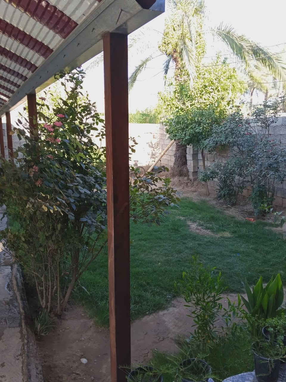 هذا البيت للبيع مساحه 350 متر يحتوي على 3غرف نوم واستقبال ومطبخ وحولي وصحيات طابو زراعي سند25 السعر 110وبي مجال
*********** 

هذا البيت للبيع مساحه 350 متر يحتوي على 3غرف نوم واستقبال ومطبخ وحولي وصحيات طابو زراعي سند25 السعر 110وبي مجال
