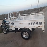 ستوته • ٢٠١٩ • اوراق اصولي