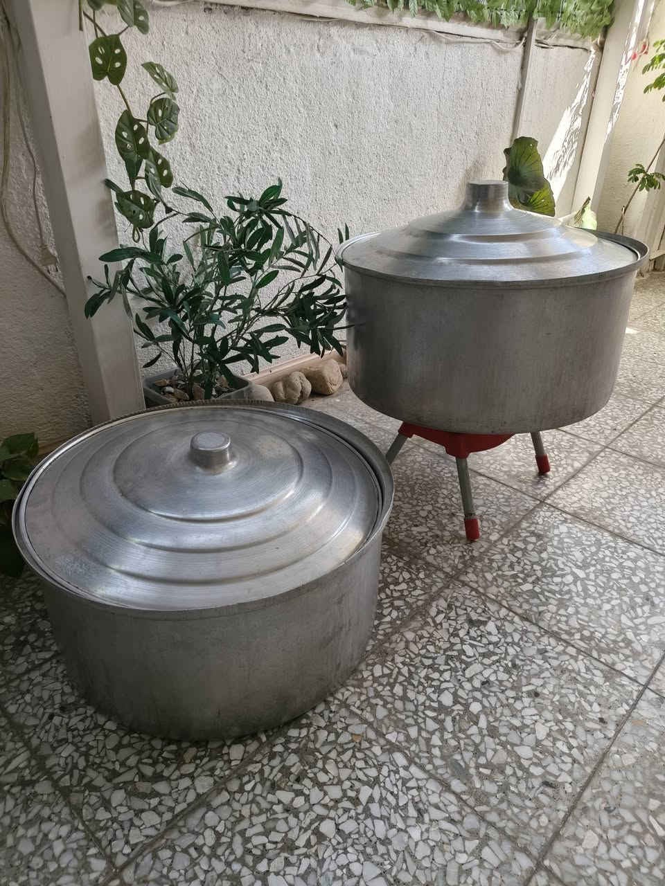 للبيع جدوره عدد 2   حجم كبير مال عزائم فافون مغلون  كيج ثخين مال قبل بحاله جيده جدا... الجدر الكبير ابعاده. قطر , 73سم..العمق 34سم.. الحجم الاصغر الجدر الثاني.. قطر67سم.. عمق.. 31سم  .. السعر....... للجدرين. بيع مستعجل ...... 80  الف. مكاني بغداد رصافه....


**إذا كنت صاحب هذا الإعلان وتريد حذفه لأي سبب، رجاءا أرسل رسالة إلى الدعم الفني**