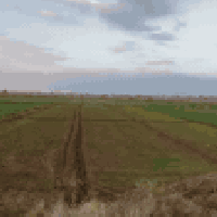 قطعه ارض للبيع مساحة القطعه 5دوانم ونص. مطله على الشاطئ مباشرة العرض ا...