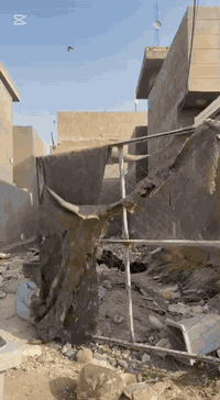 ‎فرصة استثمارية أو سكنية في موقع حيوي وهادئ (ام الهوى القديمه شارع النجار على اليمين ).
‎📐 تفاصيل قطعة الأرض:
‎• المساحة الكلية: 91 متر مربع.
‎• الأبعاد: واجهة 8.25 متر × نزال 11 متر.
‎• نوع الملكية: طابو ملك صرف (سند قانوني جاهز للتحويل).
‎• الموقع: كربلاء المقدسة - قضاء الهندية - حي ام القديمه‎ 

للاستفسار وعرض عقاراتكم : دوانم زراعيه او اراضي سكنية
‎يمكنكم الاتصال 📞  أو المراسلة عبر واتساب على الأرقام التالية:
• 📱 ***********
• 📱 ***********
‎📍 زيارة المكتب:
‎تفضلوا بزيارتنا للاطلاع على المزيد من التفاصيل:
‎كربلاء - الهندية - أم الهوى الجديدة - الشارع العام - مجاور أسواق الكفيل

.
