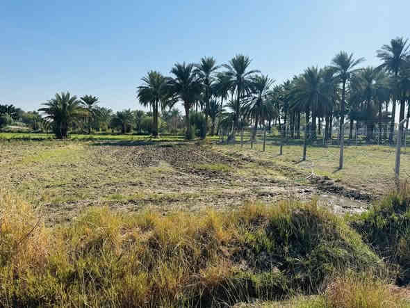 السلام عليكم 
قطعة ارض للبيع المساحة ٥٦٠ م سند ٢٥ جاهزة ماء كهرباء تبليط 
الموقع الزبيدية قرب سيطرة السده منطقه بيت عابد تبعد عن السيطرة ١٠٠ م
تبعد عن الشارع ٢٠ م 
للاستفسار الاتصال ع الرقم 

‭٠٧٧١ ٣٥٠ ١٩٢٣‬
***********
