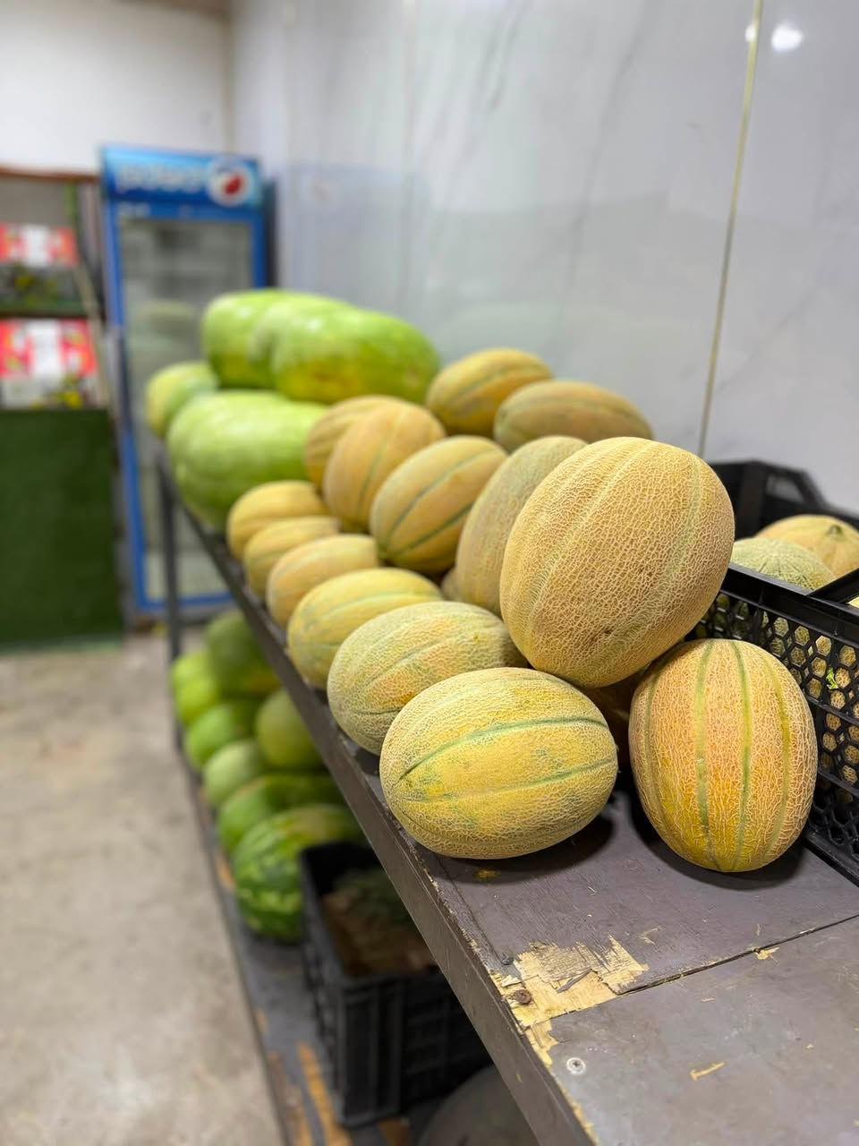 على بركة الله تم افتتاح علوه العبودي مجاور دواجن ابو علي العبودي للفواكه والخضار
 
خدمه توصيل مجاني *********** واتساب
