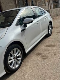 كورولا • ٢٠٢٤ • رقم اربيل