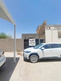 ام طباشي • مشتمل مؤثث • ٧٠م